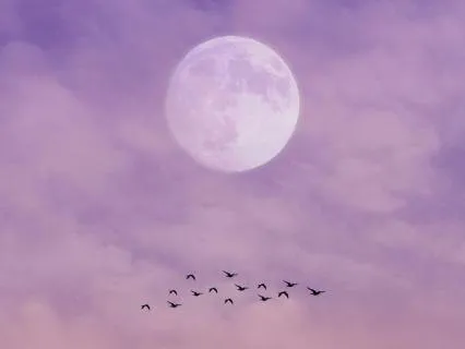 Music for Deep Sleep and Happy Dreams 8 Hours