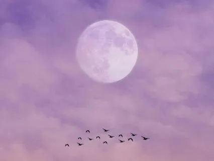 Music For Deep Sleep And Happy Dreams