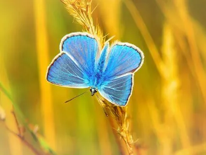 Music For Grief - Emerging