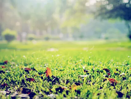 Music For Grounding: Immersion 1.0 (Sonic Journey) - 528hz