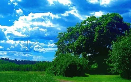 Music For Healing - Summer Day