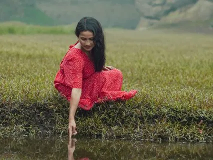 Music For Healing: The Journey Within