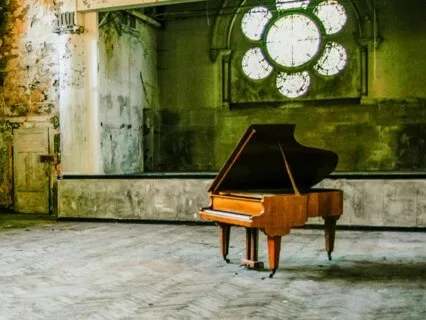 Music For Manifestation - Bioluminescence