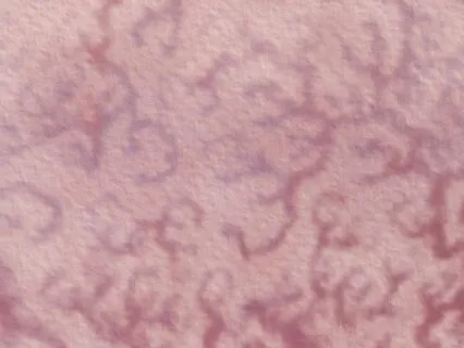 Music For Meditation And Relaxation 130524 'Fractal Decay'