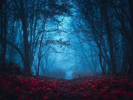 Music For Meditation And Sleep Vol. 10