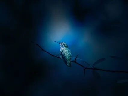 Music For Meditation & Sleep, Vol. 8