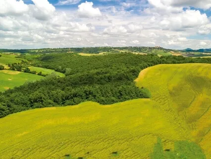 Music For Meditation Or Pranayama