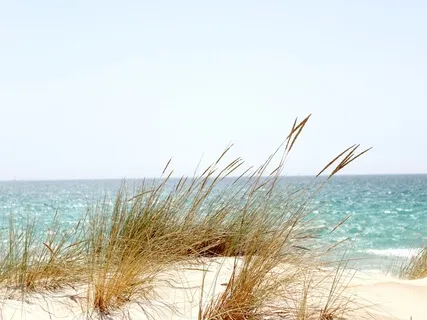 Music For Positive Energy 432Hz