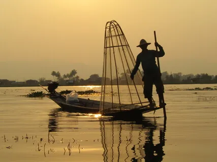 Music For Qi Gong & Méditation