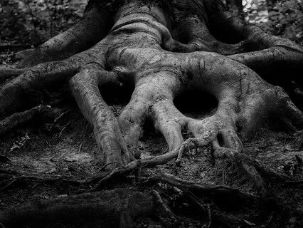 Music For Reiki (417 Hz)