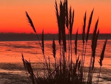 Music For Relaxation - Channeling Voice For Tranquility