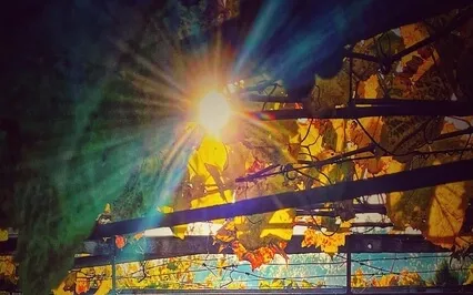 Music For Relaxation. Guitar, Flute And Voice. Ra Ma Da Sa