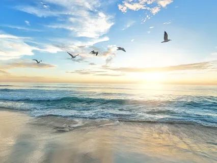 Music For Relaxation