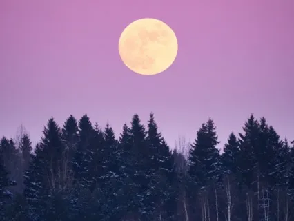 Music For Release - Sister Of Eos