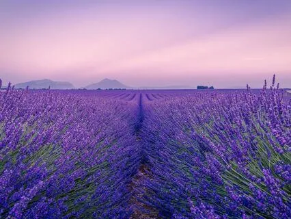 Music For Sleep - Summer Breeze - Relaxing Harp