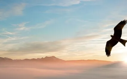 Music For Stress & Anxiety Relief