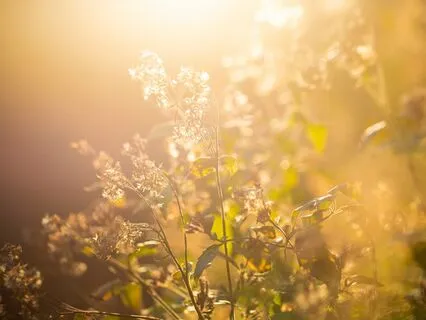 Music For Stress Release - Solfeggio + Binaural Beats