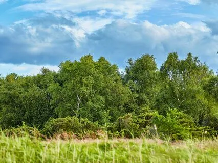 Music For Stressed Minds