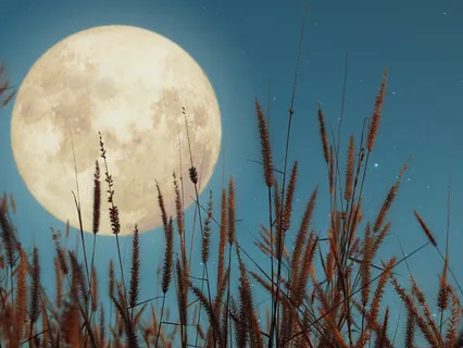 Deep Sleep - Music For Study  