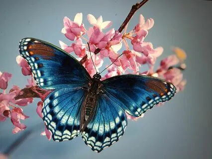 Music For The Heart - Breath Of Fresh Air