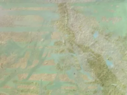 Music For The Steady Ascent Of Consciousness Mountain