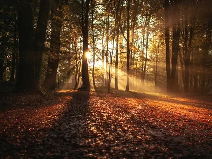 Music For Tranquility Volume 1 - Full Album