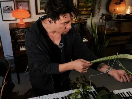Music From A Living Plant For Grounding And Calm At 528 Hz
