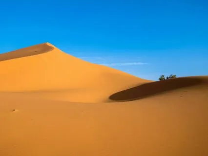 Music From Another World