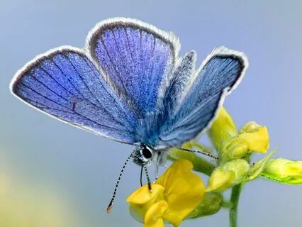 Music For Relaxing And Healing