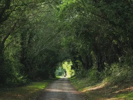 Music Is A Moral Law