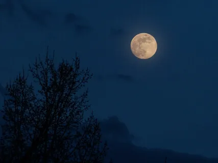 Music Is Moonlight In The Gloomy Night Of Life