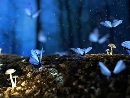 Music Meditation: Between Dreams