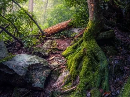 Music Meditation for Grounding