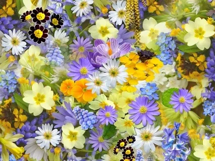 Focus For Teens | Music Meditation