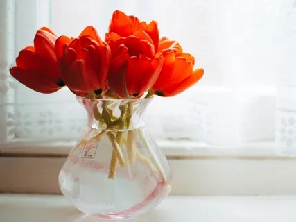 Music To Help You Relax & Breathe