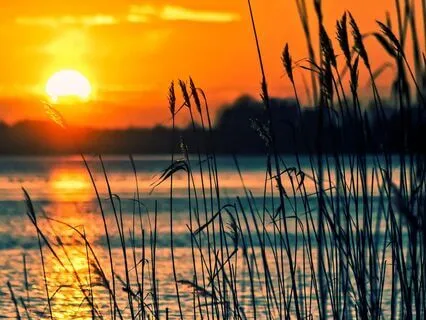 Music Meditation - Restore Balance