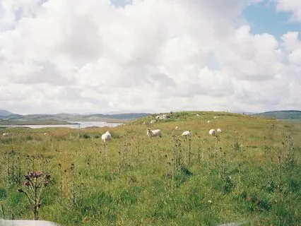 Music Meditation To Reconnect With Your Higher Self