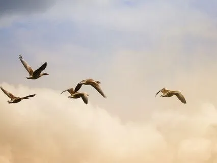 Healing Meditation Music | Connect With Your Guardian Angel