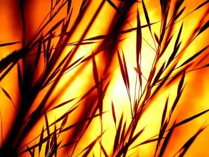 Music Of The Ever Present Moment - Poem