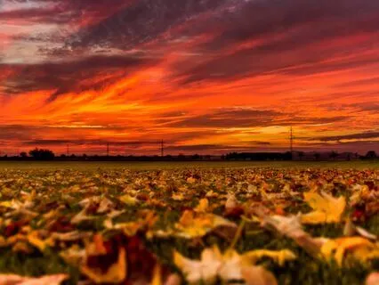 Music Therapy | Lambda Brainwave Isochronic Tones: Shamanic