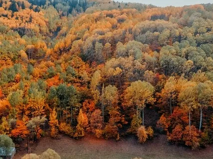 Music To Attract Inner Peace (639Hz)