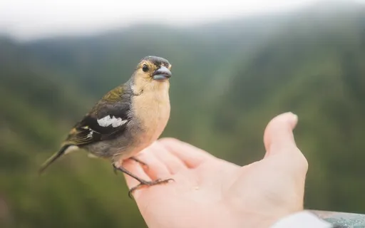 Music To Clear Your Mind In A Moment