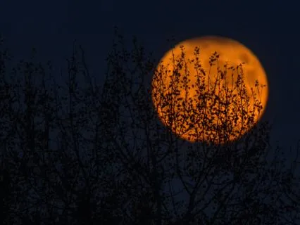 Music To Ease Insomnia And Deep Sleep 8 Hours