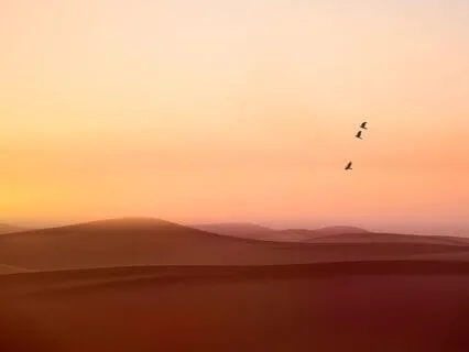 Music To Get Relaxed - Stress Relief