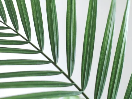 Relaxing Music For Harmony And Alignment