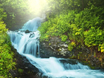 Music To Study With (Including Water Sounds)