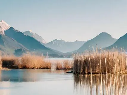 Music: Unlock Inner Harmony With 528 Hz