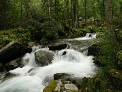 Music visualization 2 - Life Force, Health, Joy