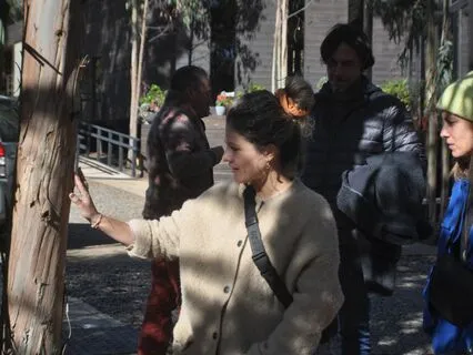 Música de un Romero a 432hz.Para Calmar,Inspirar y Armonizar