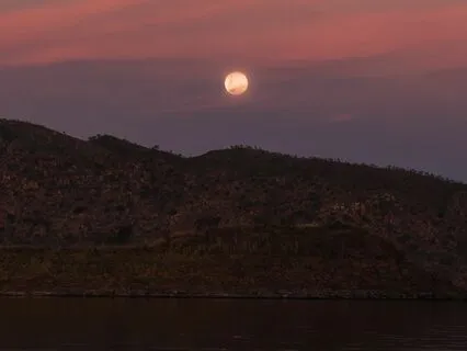 Música para a Calma Imediata e Paz Instantânea